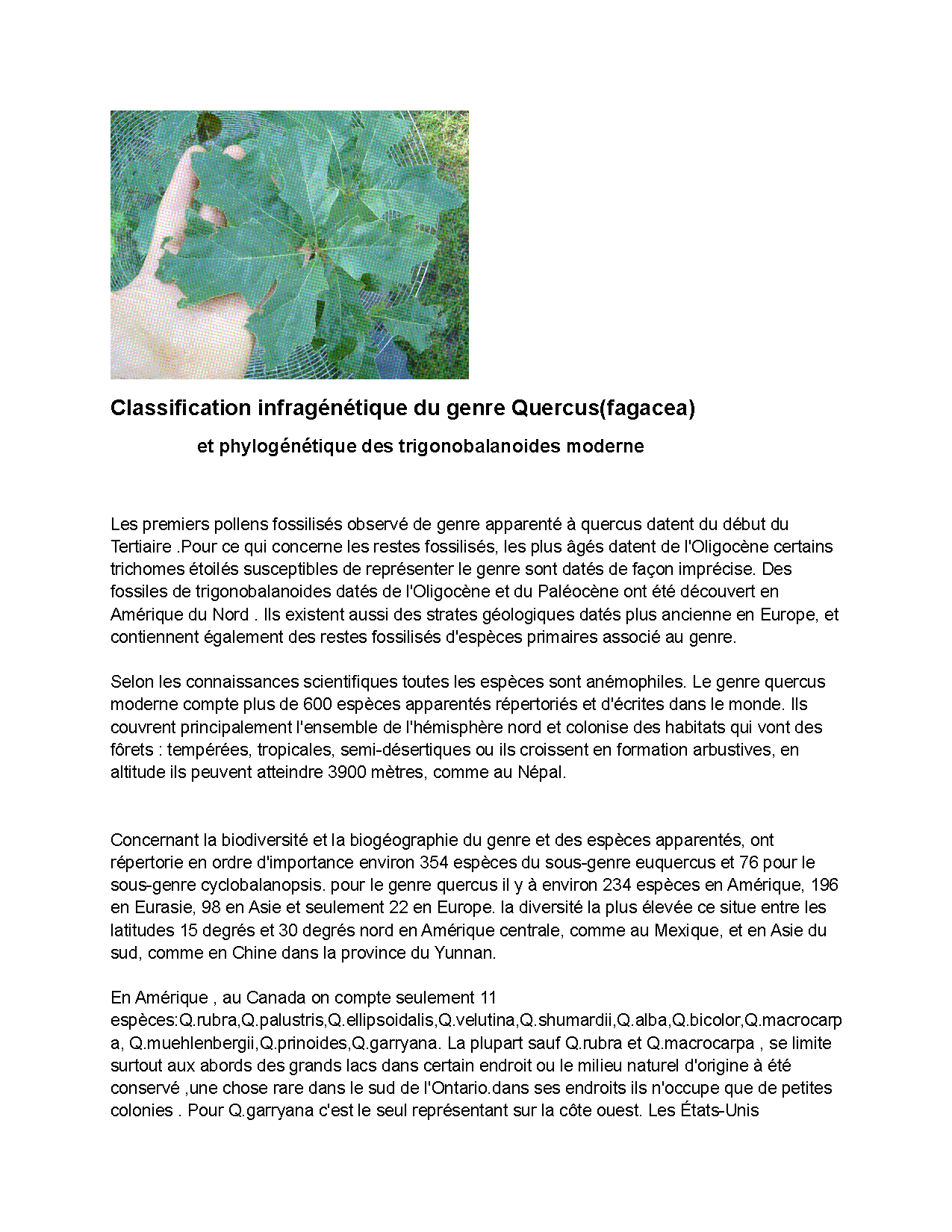 Aperçu Article 11 - Classification infragénétique Quercus