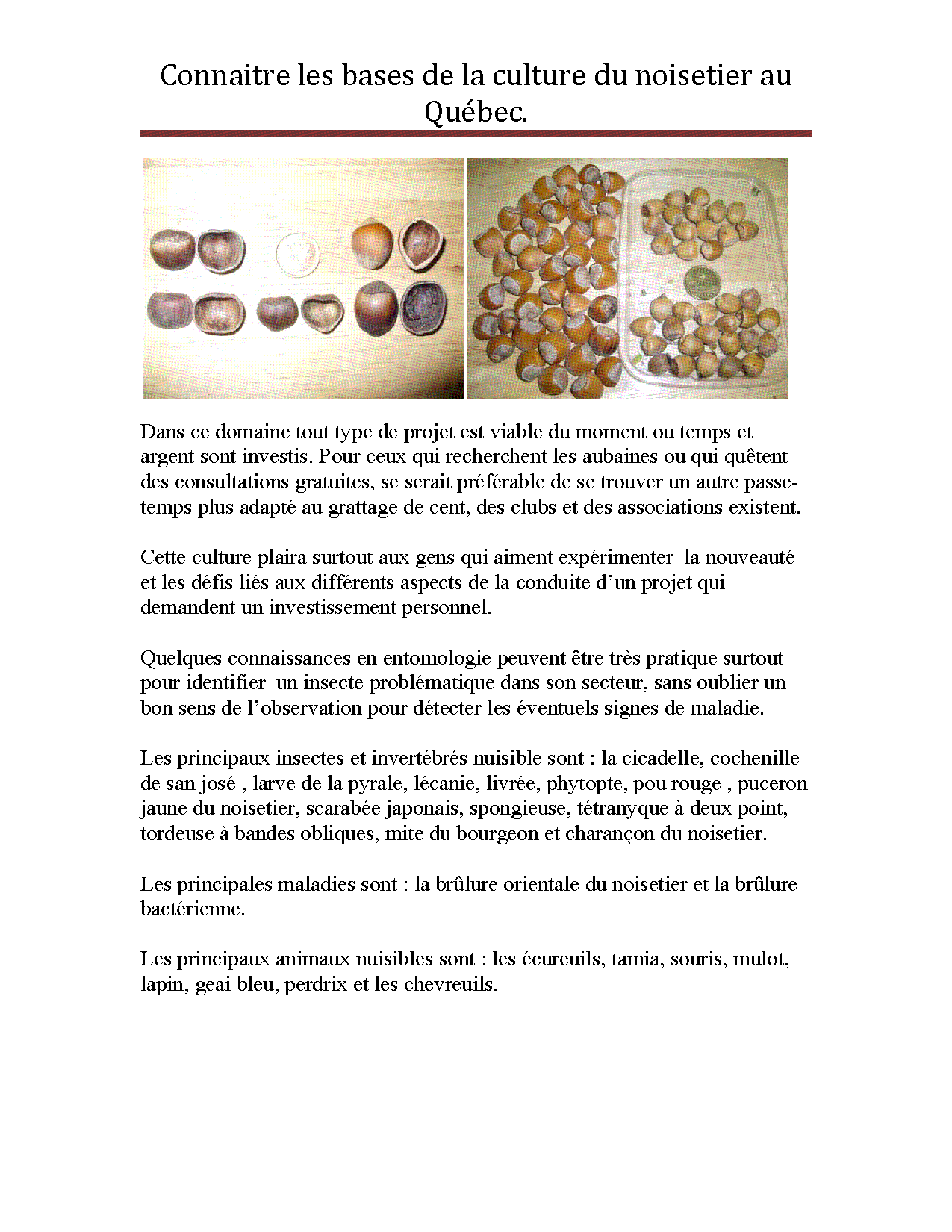 Aperçu Article 13 - Culture du noisetier