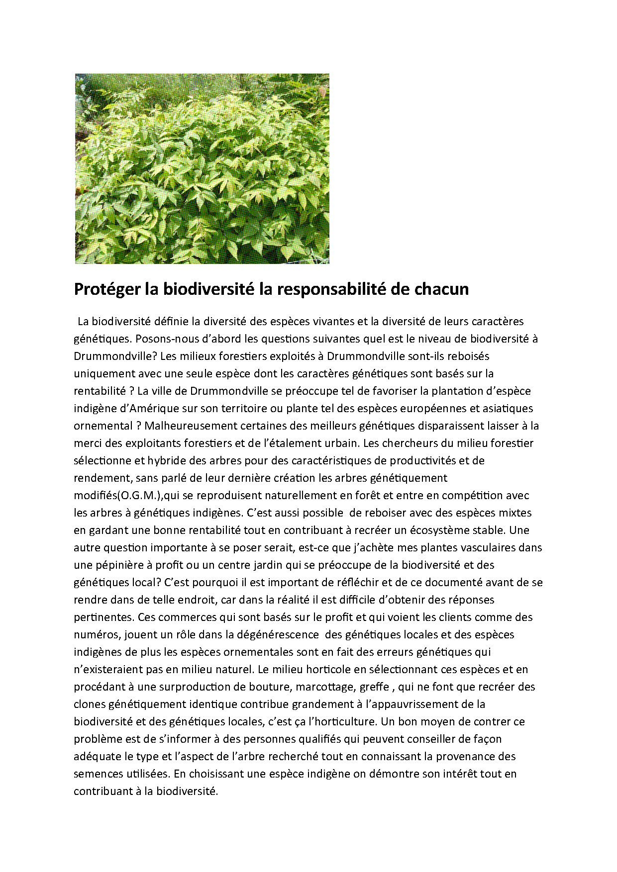 Aperçu Article 14 - Protéger la biodiversité