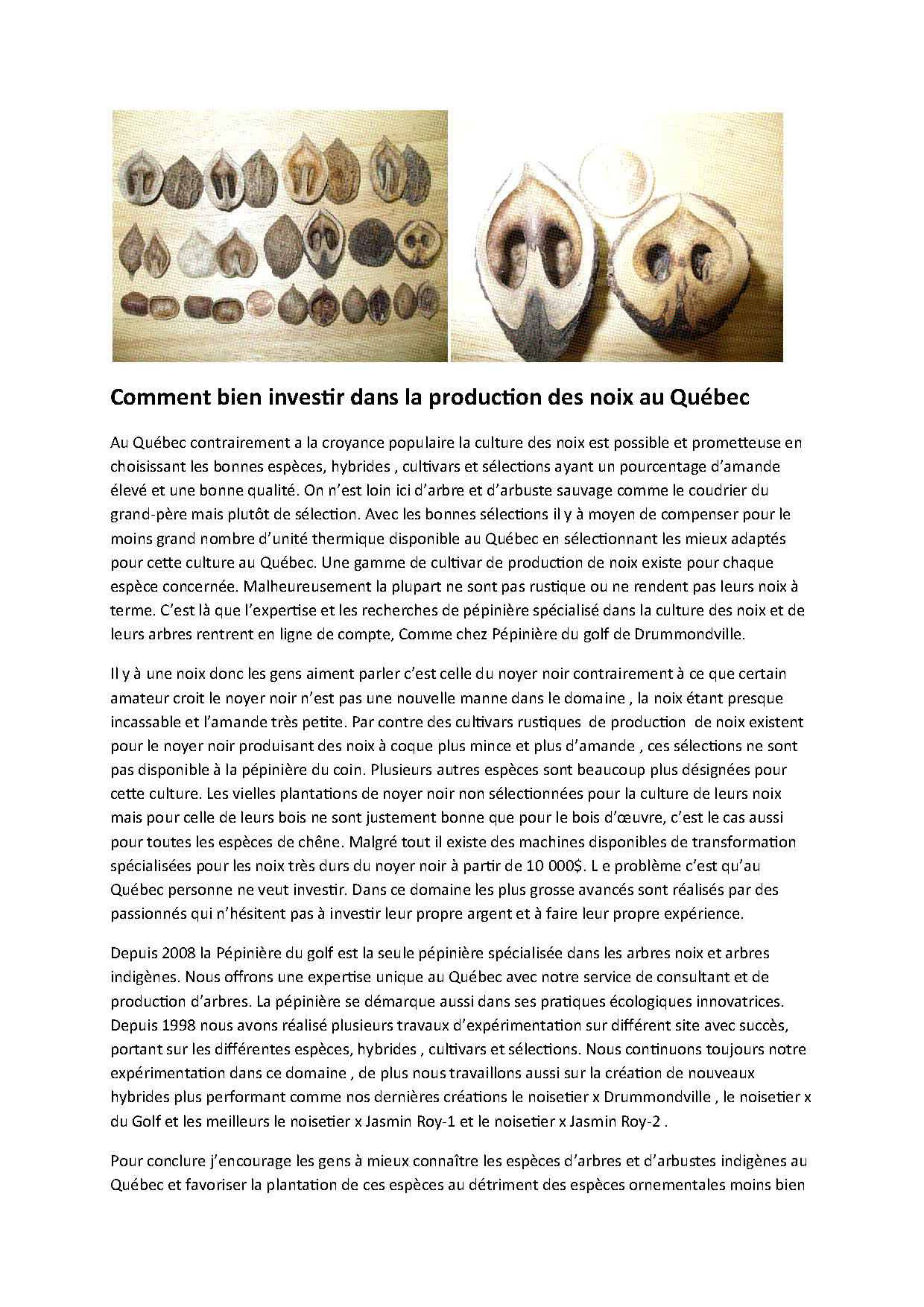 Aperçu Article 15 - Investir dans la production des noix