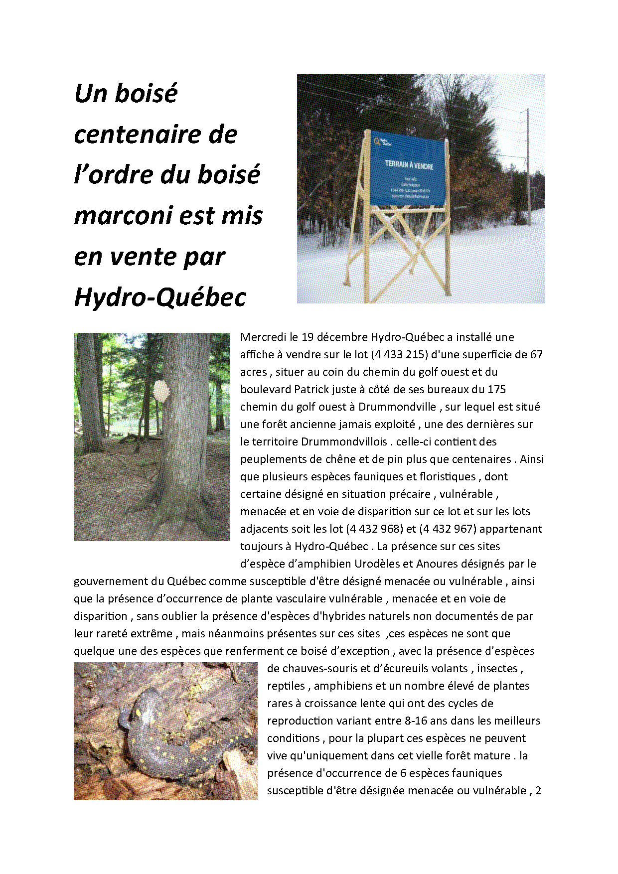 Aperçu Article 8 - Boisé centenaire